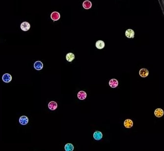 STEEL BEZEL-SET NOSE SCREW ASSORTMENTS